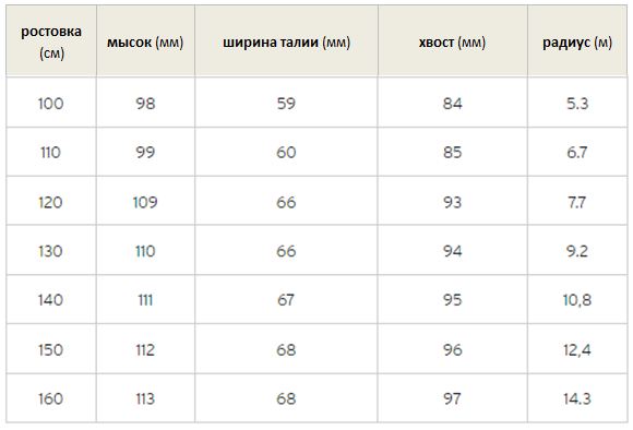 Горные лыжи HEAD WC e.Race Team SW bk/nyw - 110 см