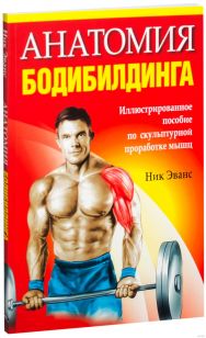 Анатомия бодибилдинга