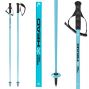 Палки горнолыжные Head WORLDCUP SL speed blue - 115 см