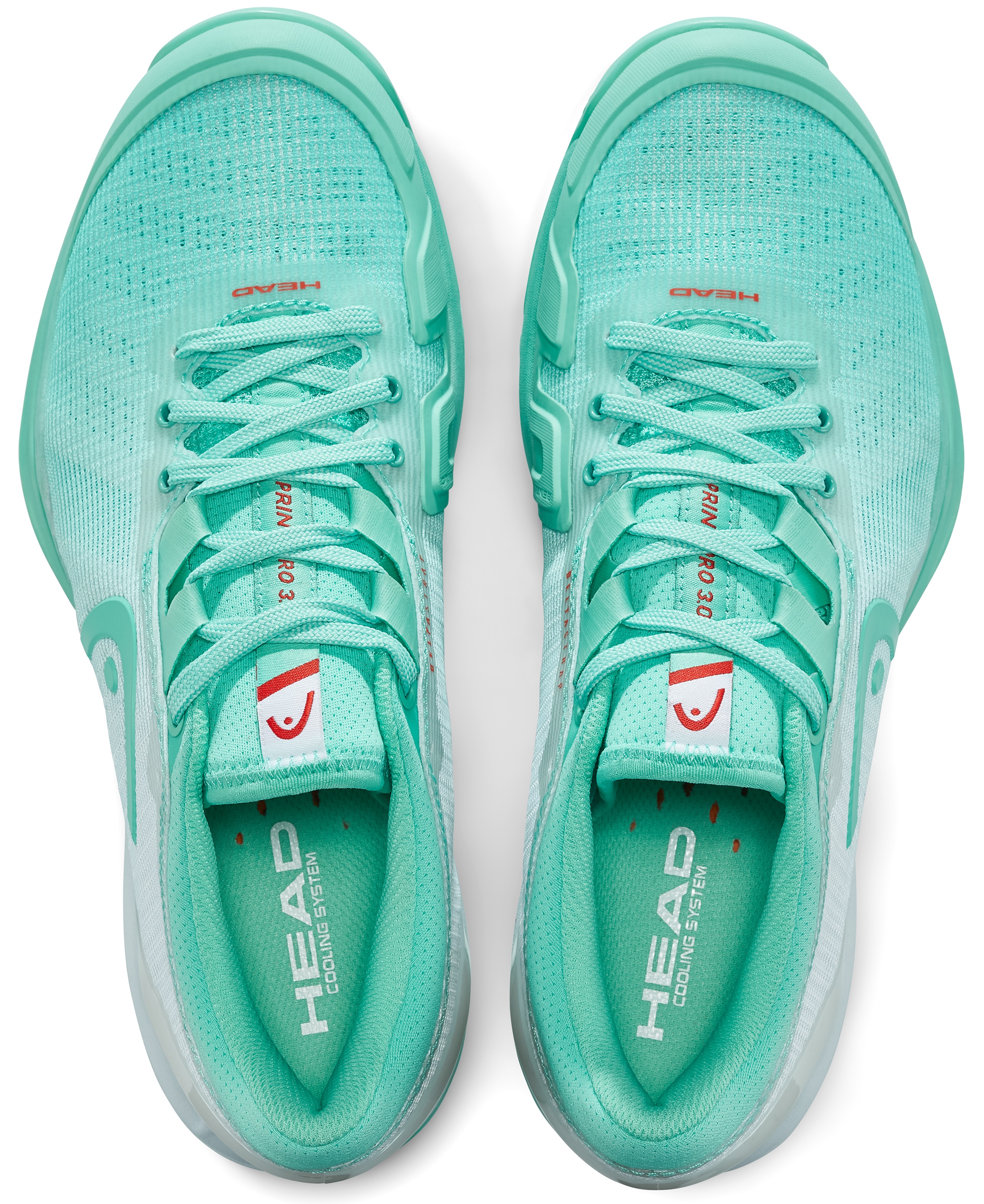 Теннисная обувь Head SPRINT PRO 3.0 Clay Women TEWH - 23 см (Eur. 36.5)